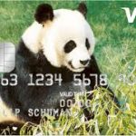 Visa World Panda Card: Steun natuurbescherming bij elke aankoop